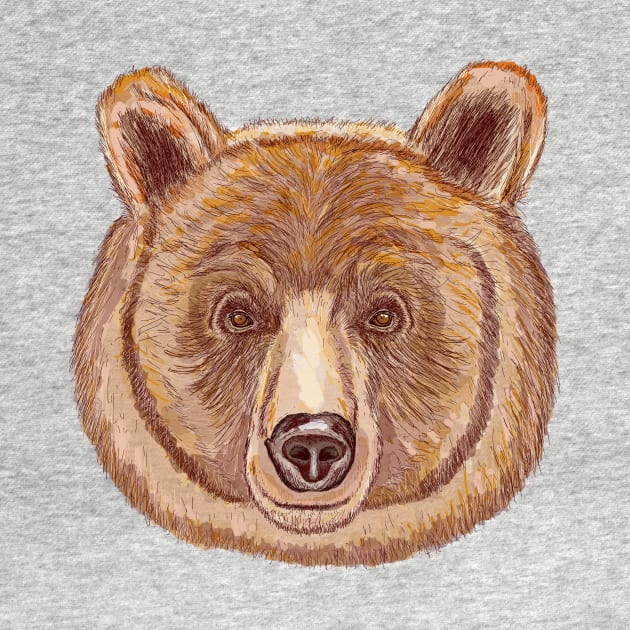 Brown Bear Stare by chrissyloo